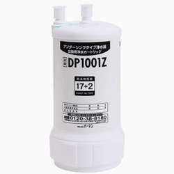 DP1001Z